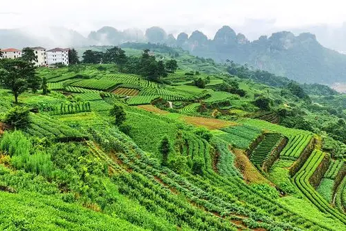 下岩贝网红村2