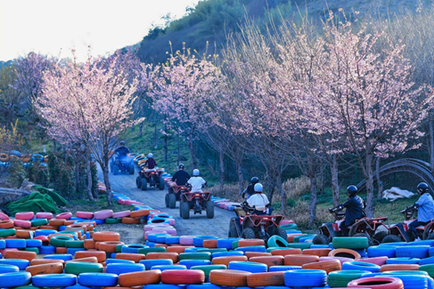 莫干山花谷营地