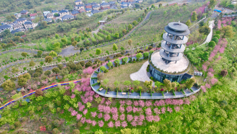 莫干山花谷营地1